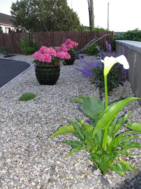 Island View Bed And Breakfast Doolin Exterior photo